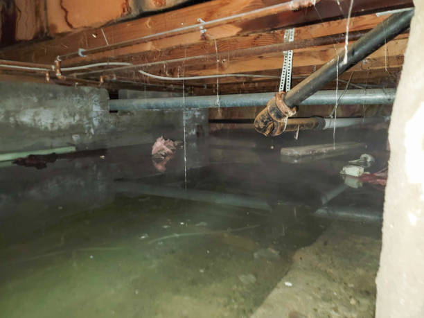 Best Flooded house restoration  in Florence, MT