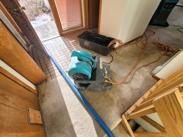 Best Water damage restoration mold remediation  in Florence, MT