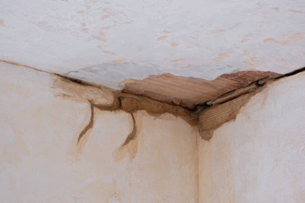 Sewage cleanup and water damage restoration in MT