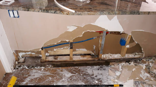 Best Sewage cleanup and water damage restoration  in Florence, MT
