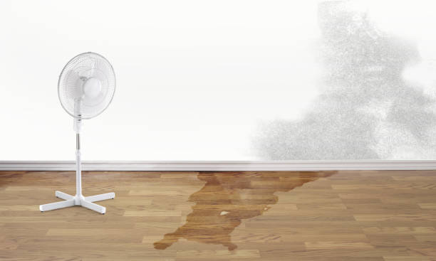 Best Emergency water damage restoration  in Florence, MT