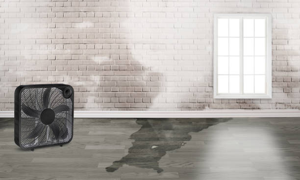 Best Sewage cleanup and water damage restoration  in Florence, MT