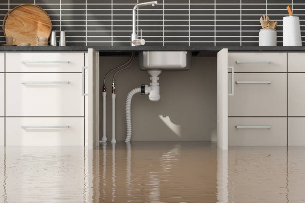 Best Mold removal after water damage  in Florence, MT