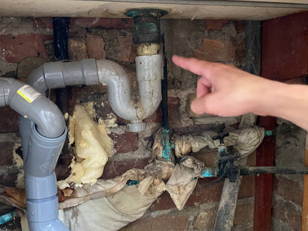 Best Sewage cleanup and water damage restoration  in Florence, MT
